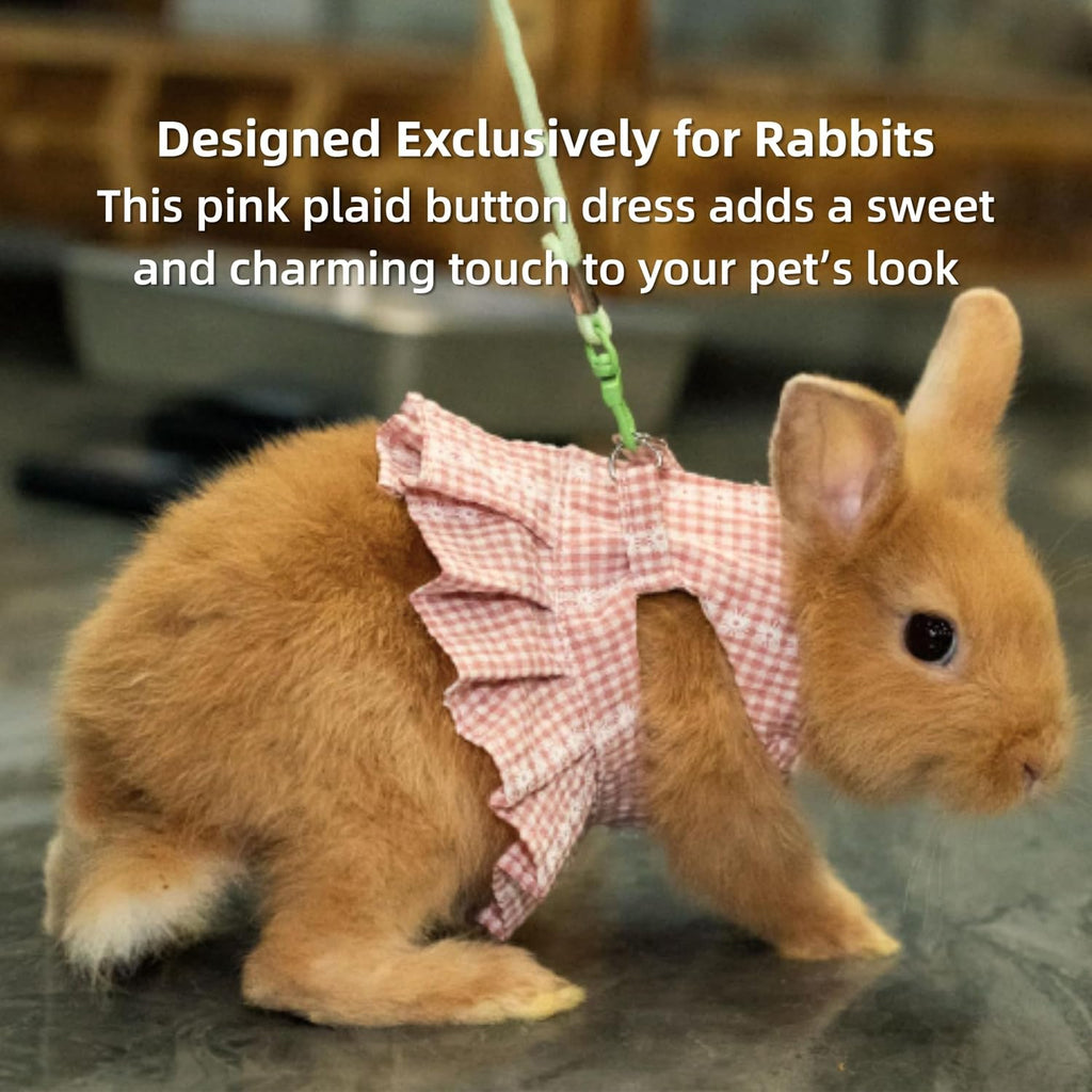 Authentic USA imported rabbit clothing size measurement guide illustration.