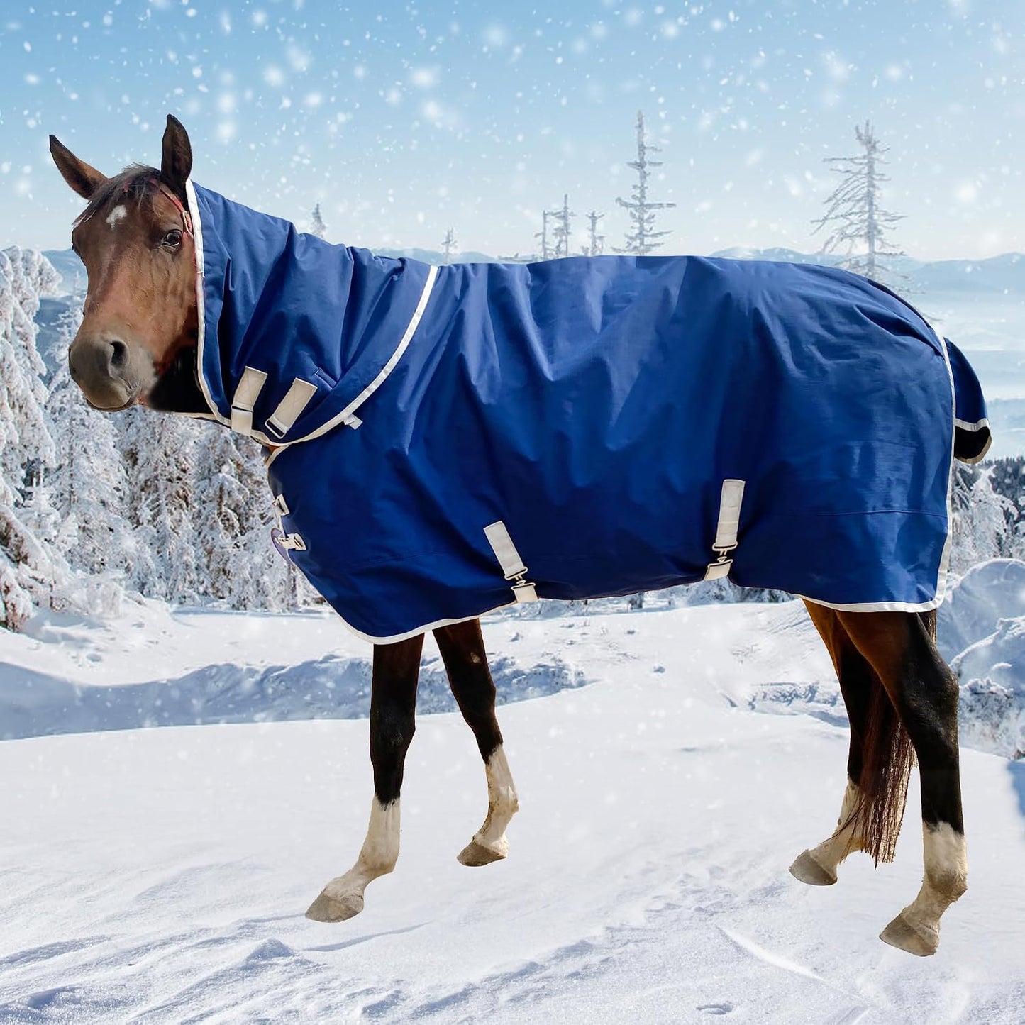 Jranter premium horse care blanket side view showing secure adjustable fit