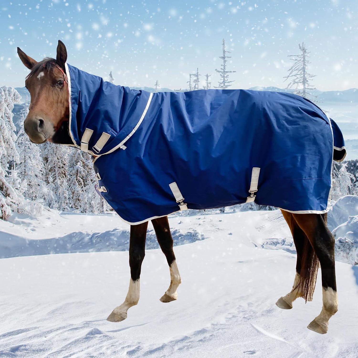 Jranter premium horse care blanket side view showing secure adjustable fit