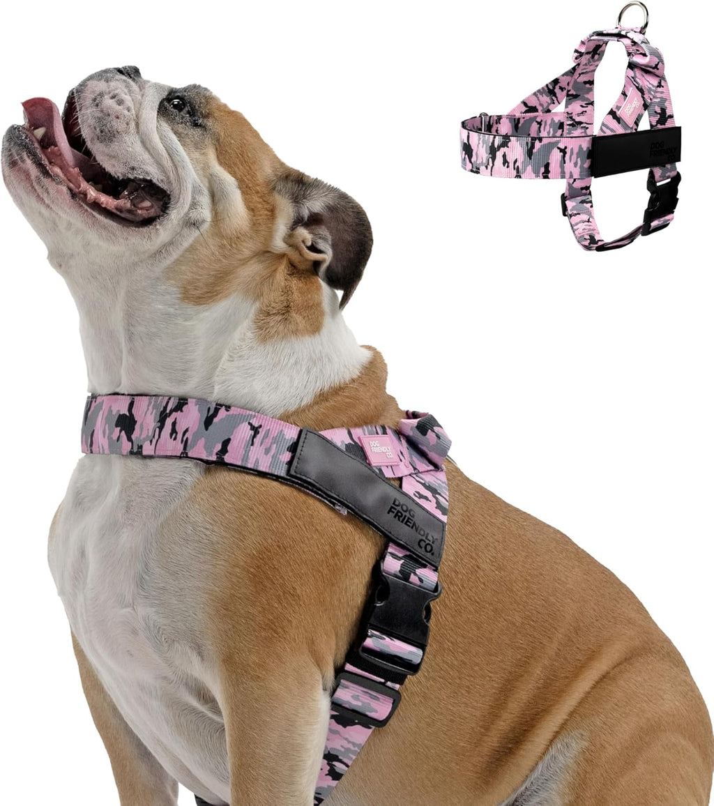 Dog Friendly Co. Dog Harness | Chafe Resistant Webbing, Adjustable Neck & Chest, and Heavy Duty D-Ring | Sturdy, Comfortable, Easy to Use | Pink, Size L - Image 10