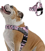 Dog Friendly Co. Dog Harness | Chafe Resistant Webbing, Adjustable Neck & Chest, and Heavy Duty D-Ring | Sturdy, Comfortable, Easy to Use | Pink, Size L - Image 10