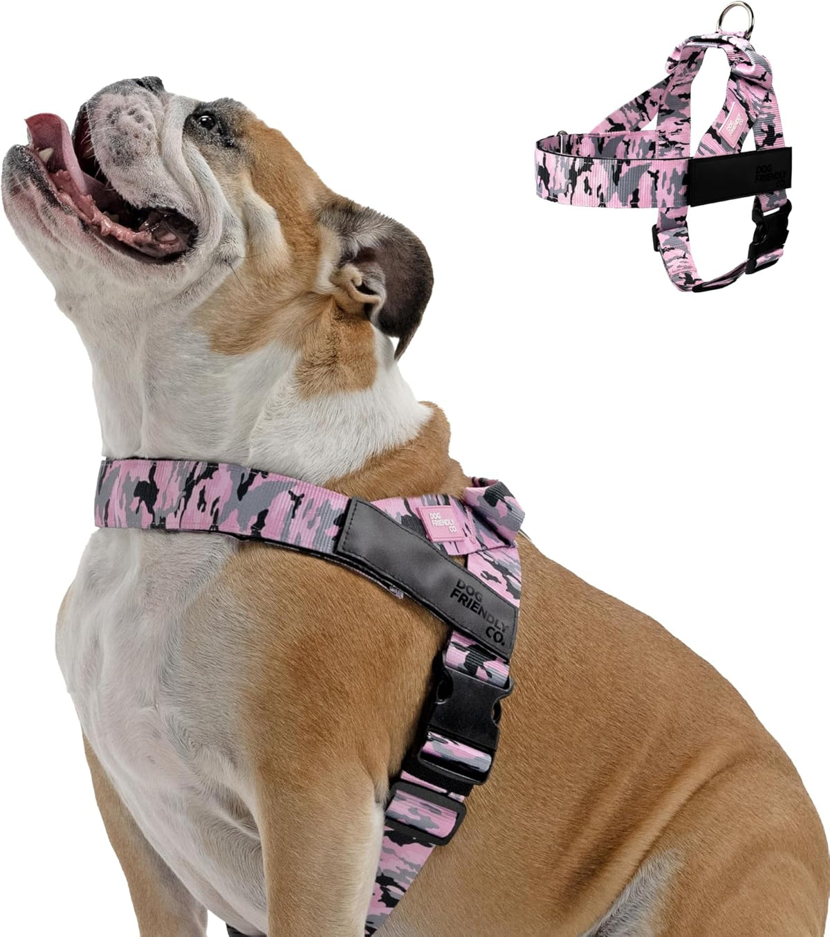 Dog Friendly Co. Dog Harness | Chafe Resistant Webbing, Adjustable Neck & Chest, and Heavy Duty D-Ring | Sturdy, Comfortable, Easy to Use | Pink, Size L - Image 10