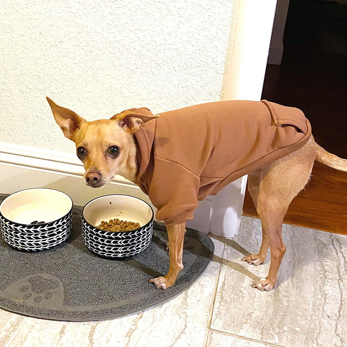 Small dog wearing coffee colored Jecikelon winter coat with hood up