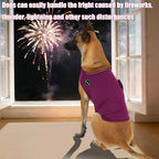Dog wearing Kodervo calming vest during storm