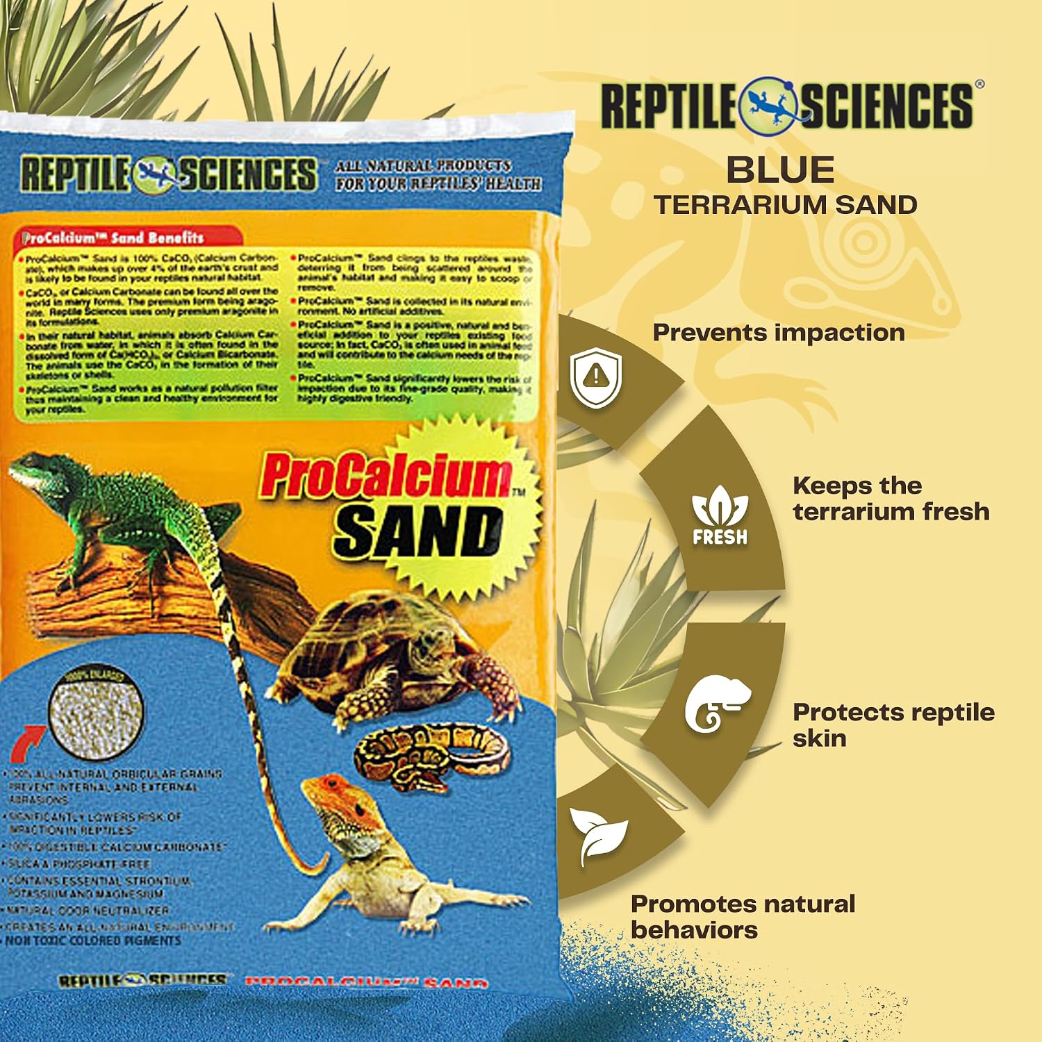 Close up of blue calcium sand texture for reptile habitats