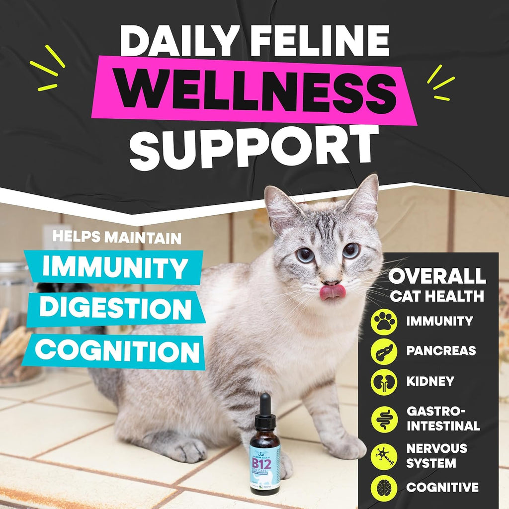 Premium non synthetic feline B12 vitamins for immune system booster.