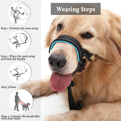 Barkless head collar showing durable alloy steel hardware