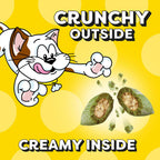 Lifestyle arrangement of the cat treat tub for household pet care