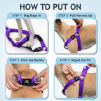 Step-in design of Kruz Pet Amethyst dog harness