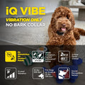 Dogtra iQ Vibe waterproof receiver for small dogs