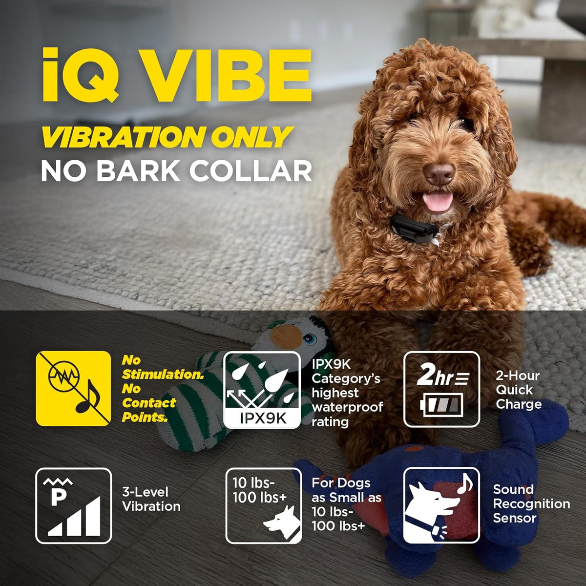 Dogtra iQ Vibe waterproof receiver for small dogs
