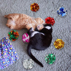 Silkfly interactive exercise toys for indoor kittens shown from an overhead perspective.