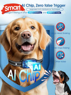 Dinjoo dog training collar showing digital LED screen display