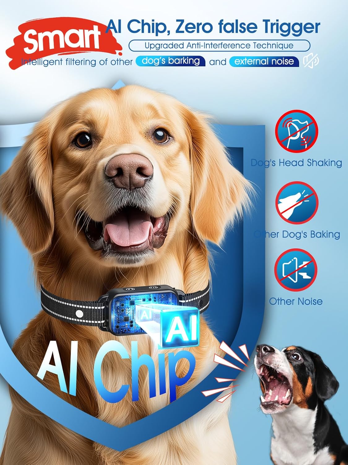 Dinjoo dog training collar showing digital LED screen display