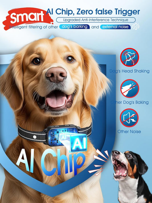 Dinjoo dog training collar showing digital LED screen display