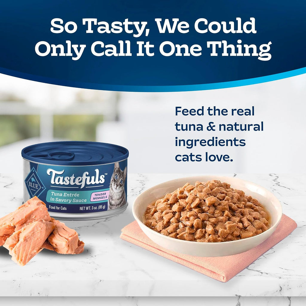 Blue Buffalo Tastefuls wet food texture with tuna morsels
