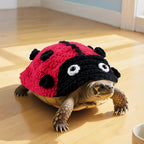Magnoloran Warm Knit Tortoise Sweater front view on a pet turtle shell.