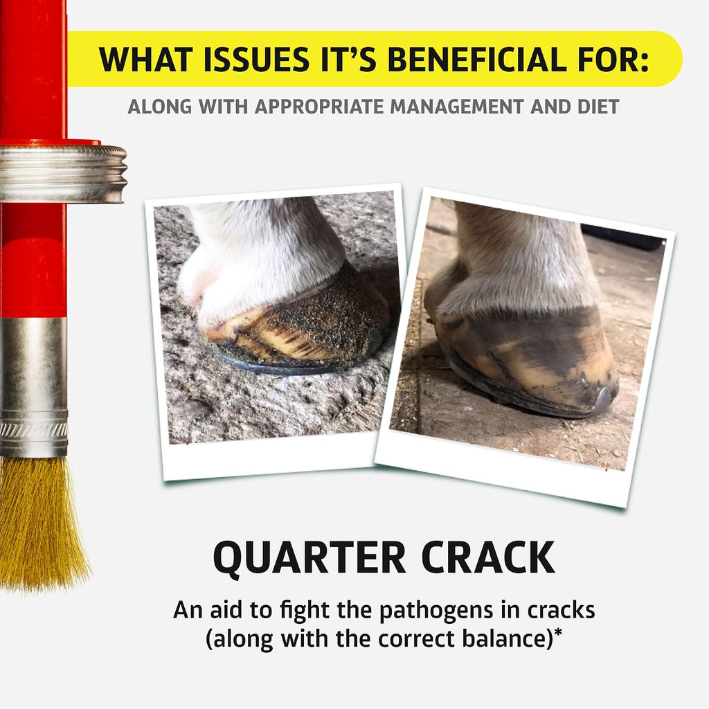 Equine One Natural Hoof Dressing - 100% All-Natural Hoof Care Product - Abscesses || Thrush || White Line || Quarter Crack (16 fl.oz) - Image 9