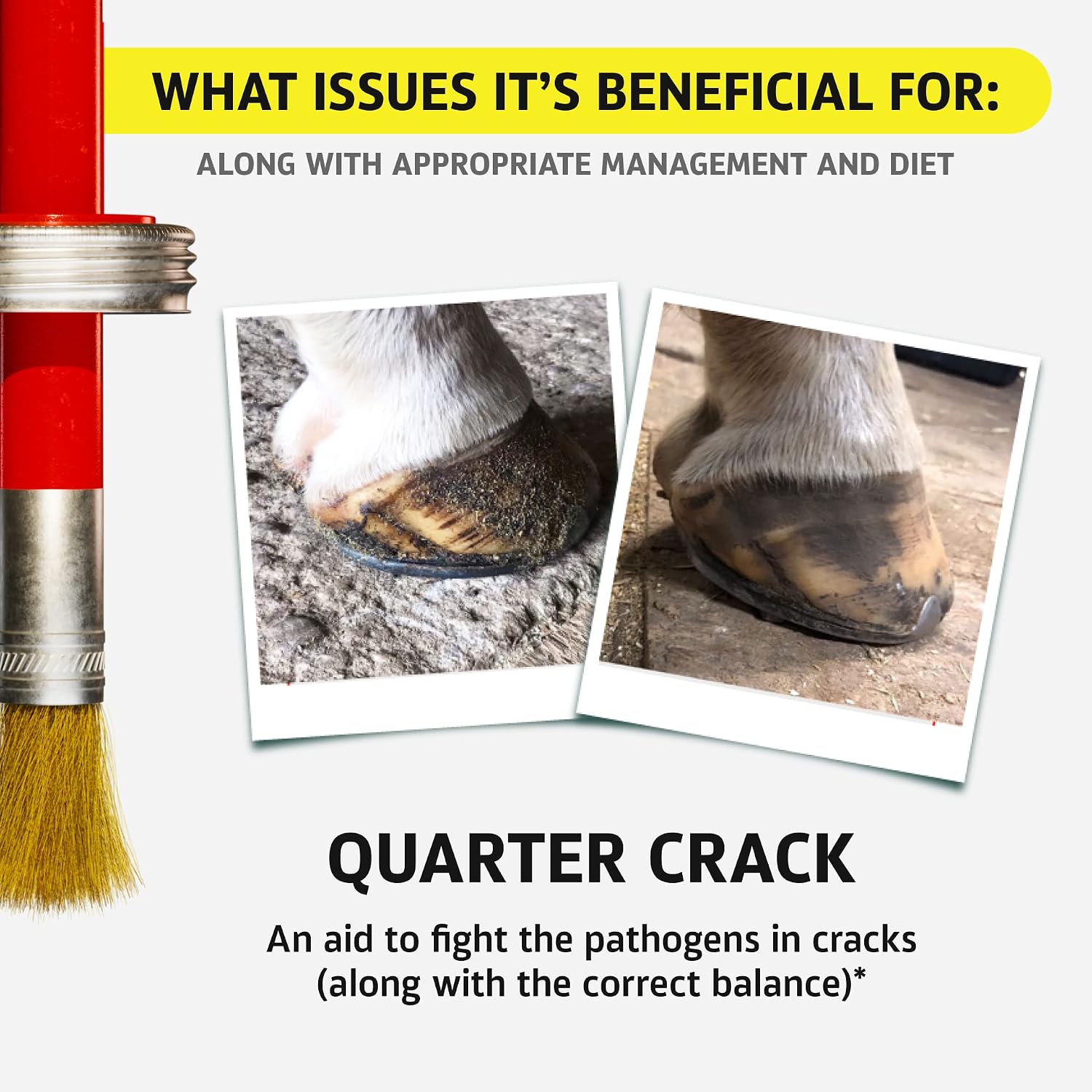Equine One Natural Hoof Dressing - 100% All-Natural Hoof Care Product - Abscesses || Thrush || White Line || Quarter Crack (16 fl.oz) - Image 9