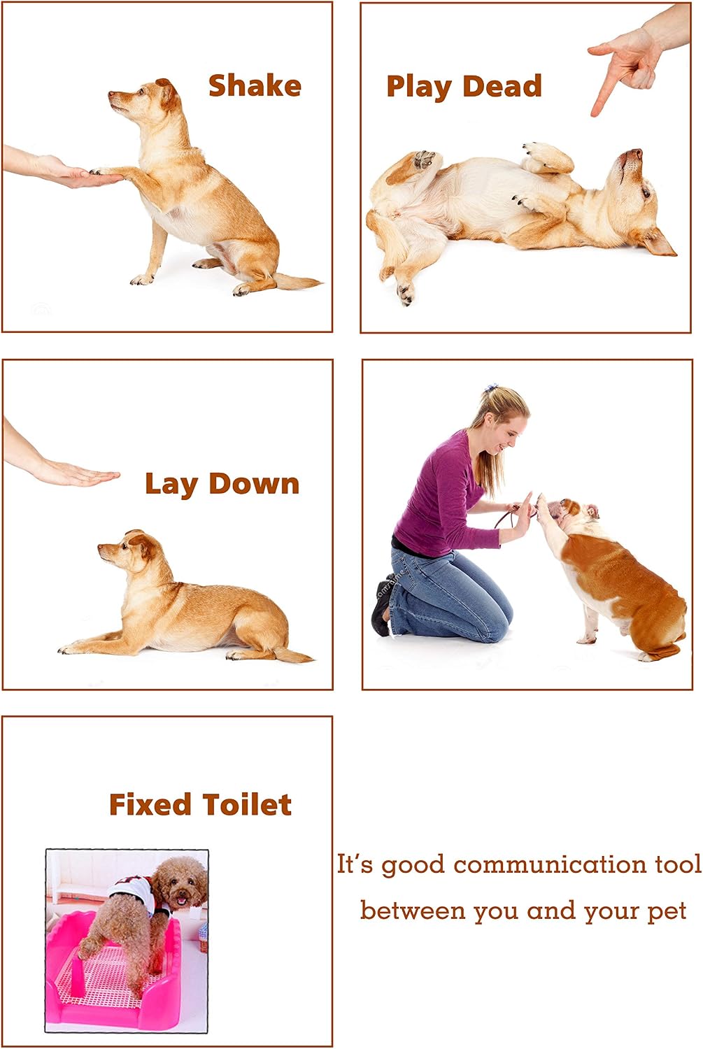 Authentic HoAoOo imported dual purpose dog clicker whistle tool for outdoor recall.