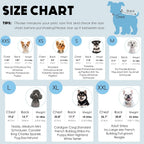 Premium imported winter dog sweaters multi color pack display