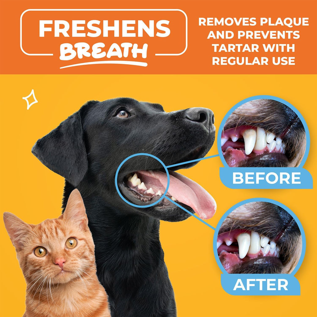 Dog & Cat Teeth Cleaning Wipes - Dental Finger Wipes for Cats & Dogs - Pet Toothbrush & Tooth Brushing Kit - Effective Teeth Cleaner (Unscented) - Image 4