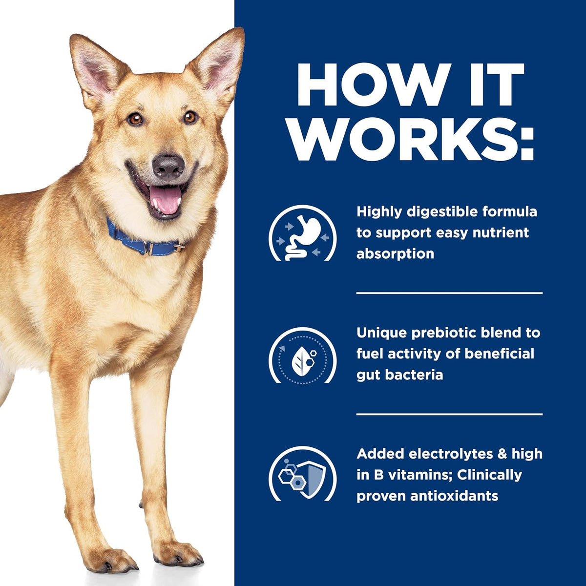 Hill's Prescription Diet ActivBiome technology prebiotic fiber dog food overview