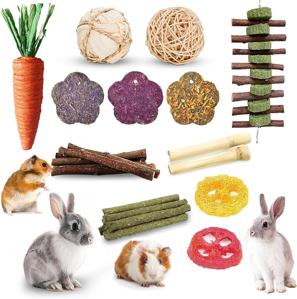 WDEFUN chinchilla dental care accessory bundle including high fiber treats and durable wooden blocks