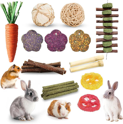 WDEFUN chinchilla dental care accessory bundle including high fiber treats and durable wooden blocks
