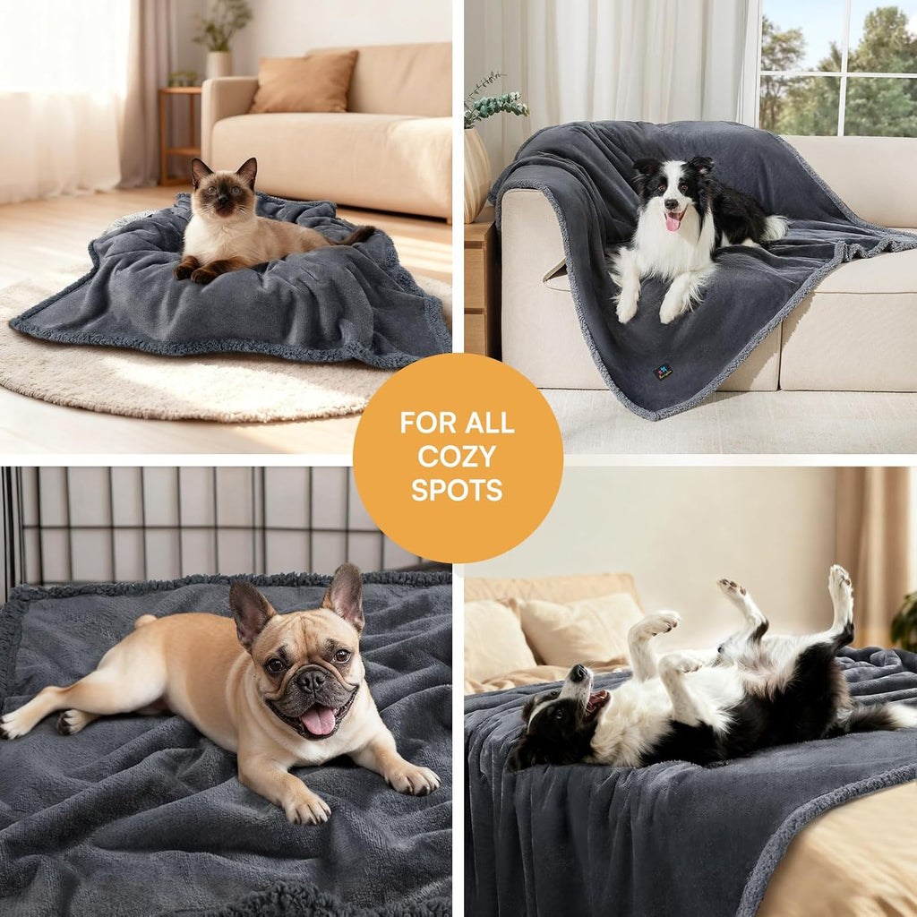Small puppy sleeping comfortably on a Luciphia sherpa pet blanket