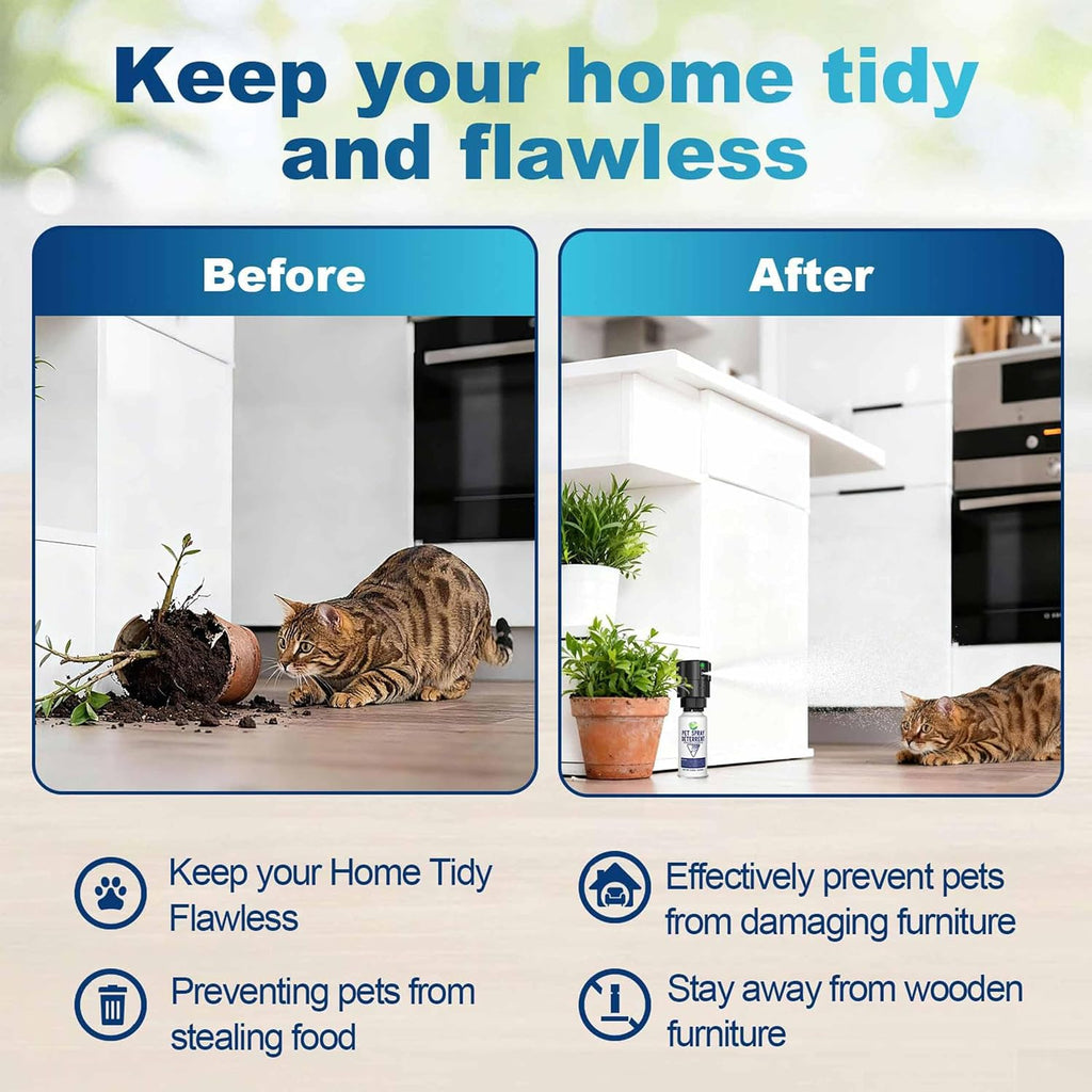 Two pack pet deterrent spray canisters placed on kitchen counter