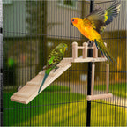 FrgKbTm Bird Perches Platform Swing with Climbing Ladder, Parakeet Cage Accessories Wooden Playing Gyms Exercise Sturdy for Small Birds - Image 3