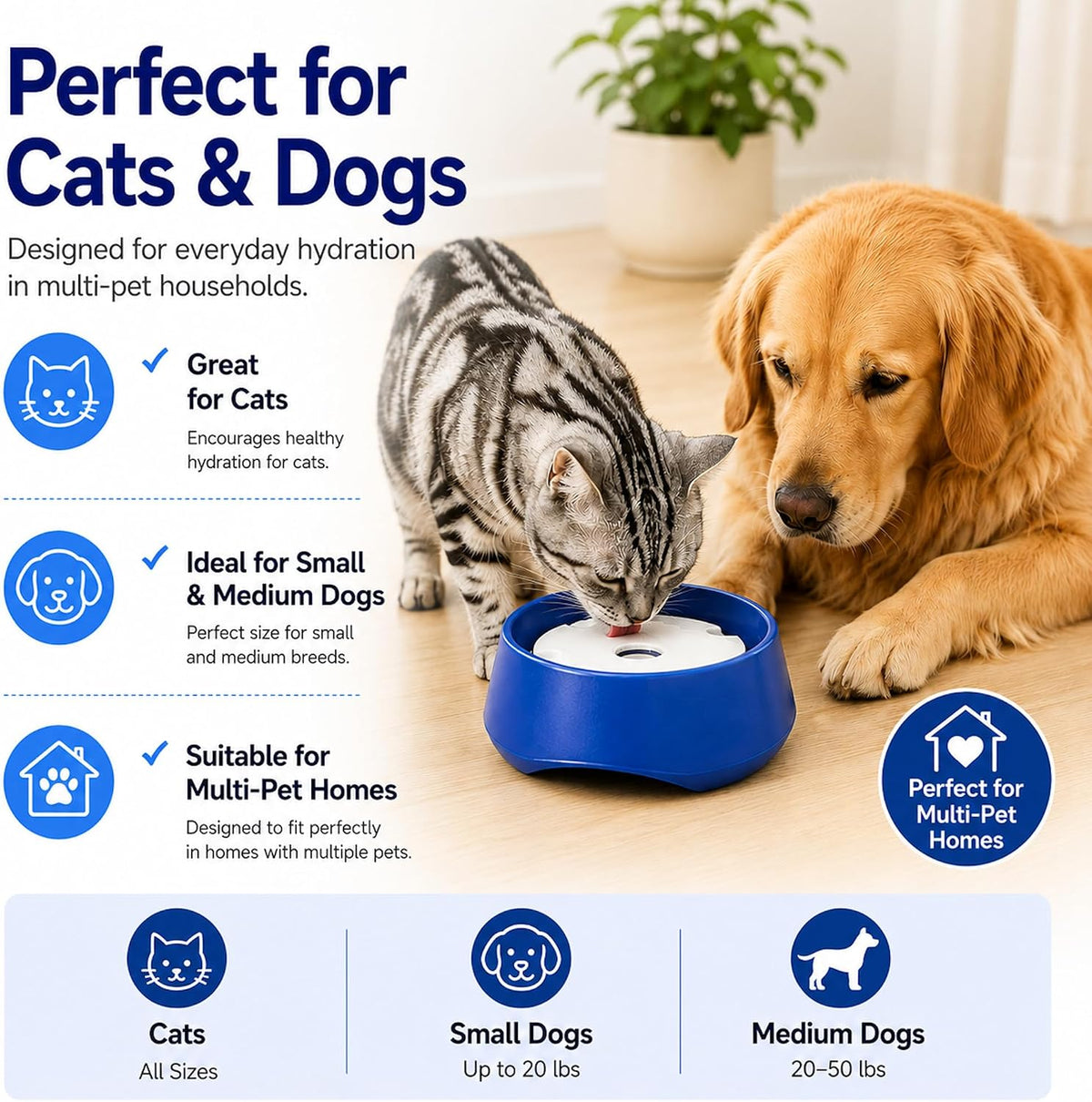 Keswick Technology premium imported spill proof pet bowl packaged and ready for travel.
