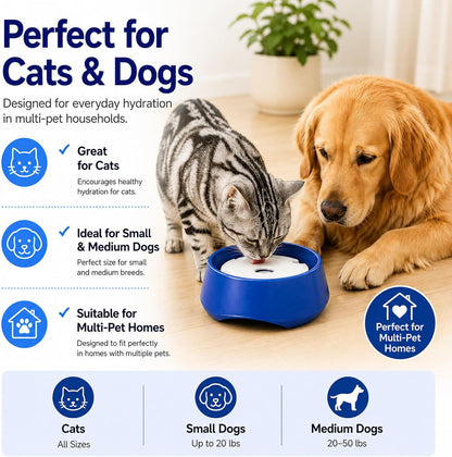 Keswick Technology premium imported spill proof pet bowl packaged and ready for travel.