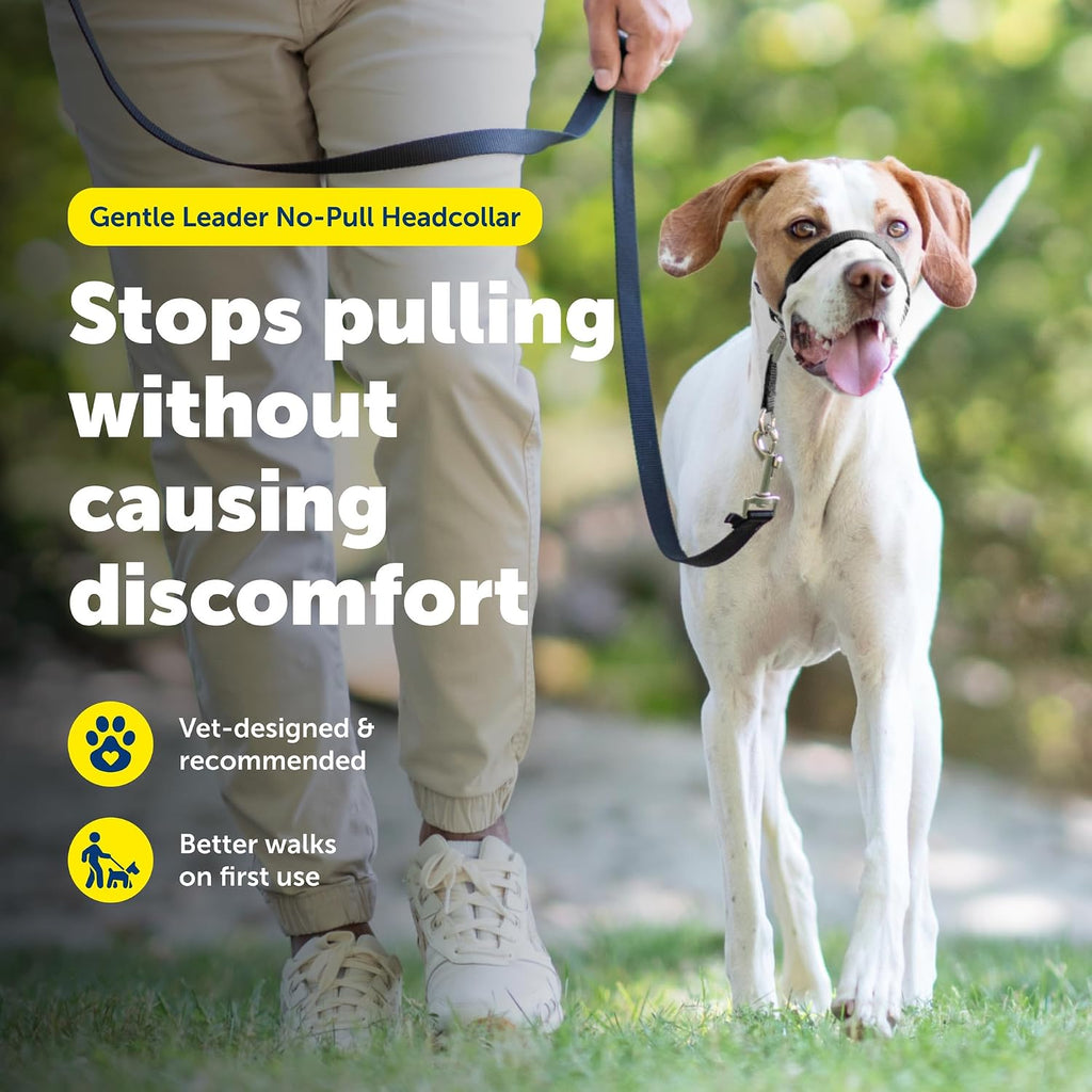 PetSafe Gentle Leader No-Pull Dog Headcollar - The Ultimate Solution to Pulling - Redirects Your Dog's Pulling for Easier Walks - Helps You Regain Control - Medium, Black - Image 2