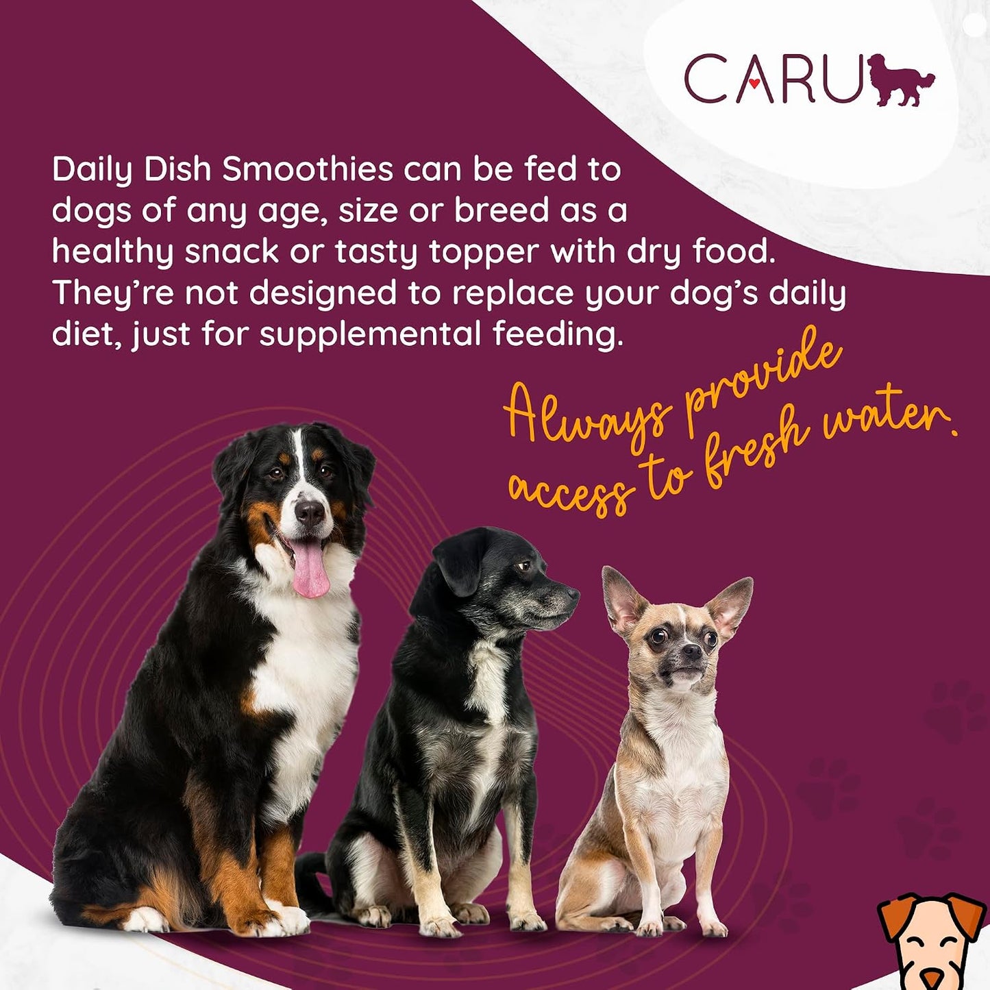 Dog enjoying Caru chicken smoothie treat