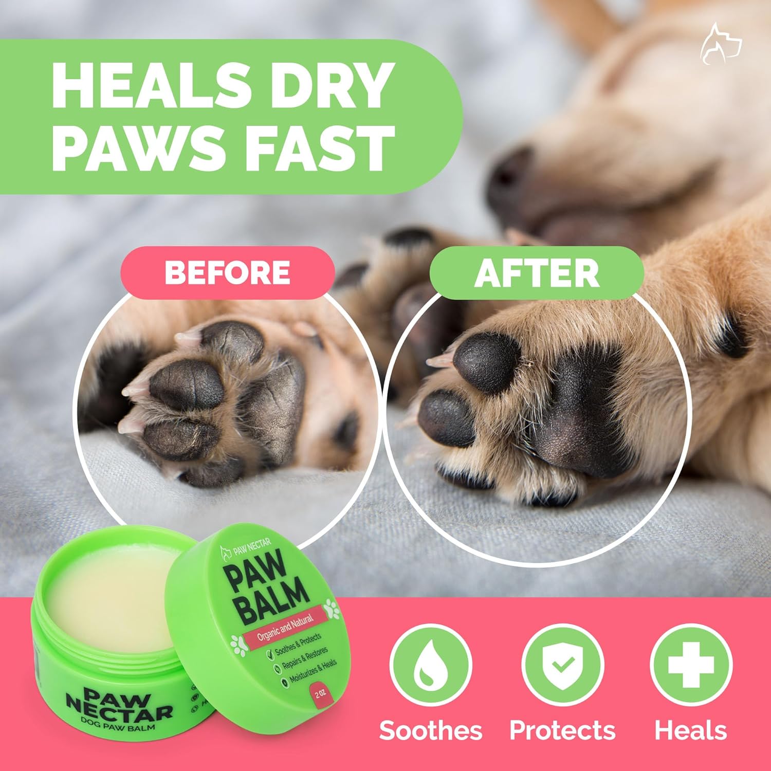 Owner applying Paw Nectar balm to dog paw pads