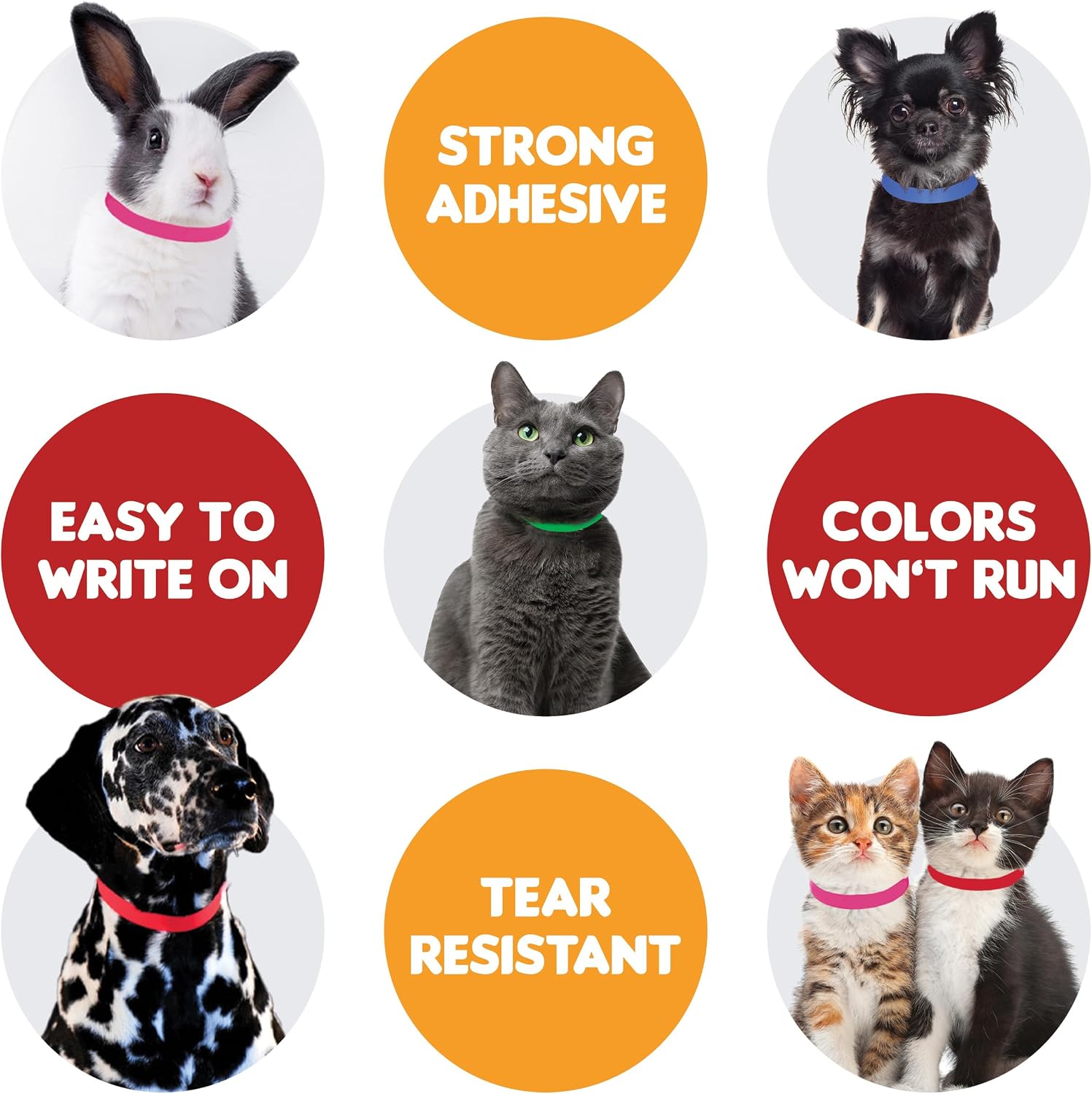 TabBand Max orange clinical animal collars showing easy release mechanism