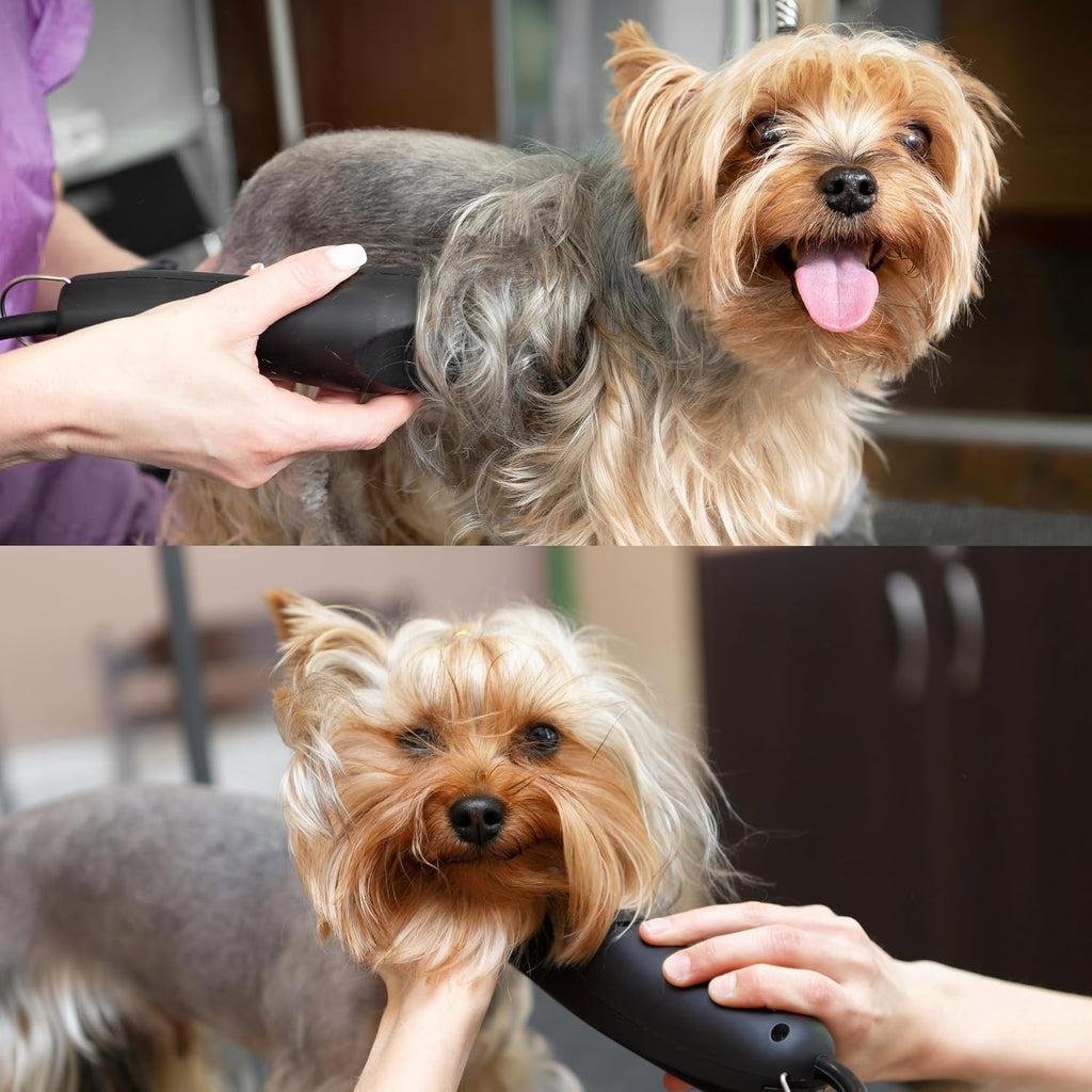 Bucchelli carbonized steel wide pet clipper blade side view profile