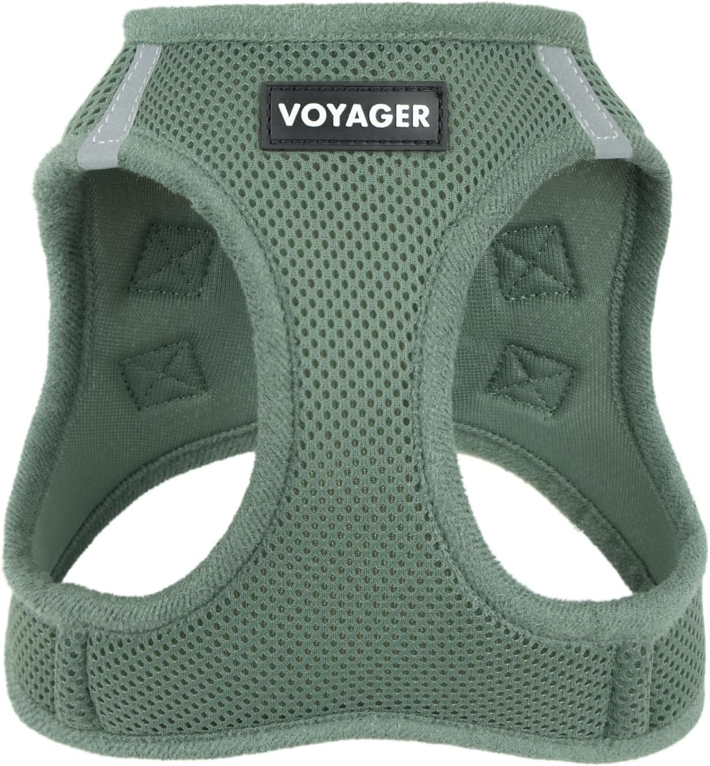 Best Pet Supplies Voyager Step-in Air Harness - All Weather Mesh, Reflective, No Pull Harness for Dogs, Cats - Secure with Hook & Loop Fastener, Buckle, Double D-Rings - Fuchsia, S - Image 14
