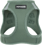 Best Pet Supplies Voyager Step-in Air Harness - All Weather Mesh, Reflective, No Pull Harness for Dogs, Cats - Secure with Hook & Loop Fastener, Buckle, Double D-Rings - Fuchsia, S - Image 14