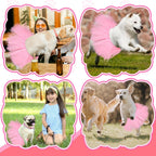 Locmeo hot pink dog clothing accessory being adjusted on a medium dog