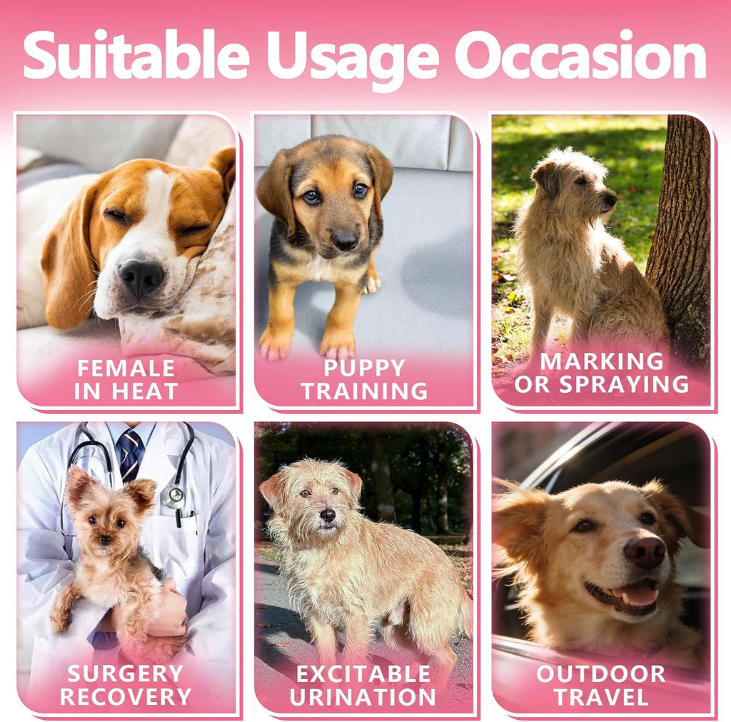 Breathable outer layer texture of extra small disposable puppy diaper