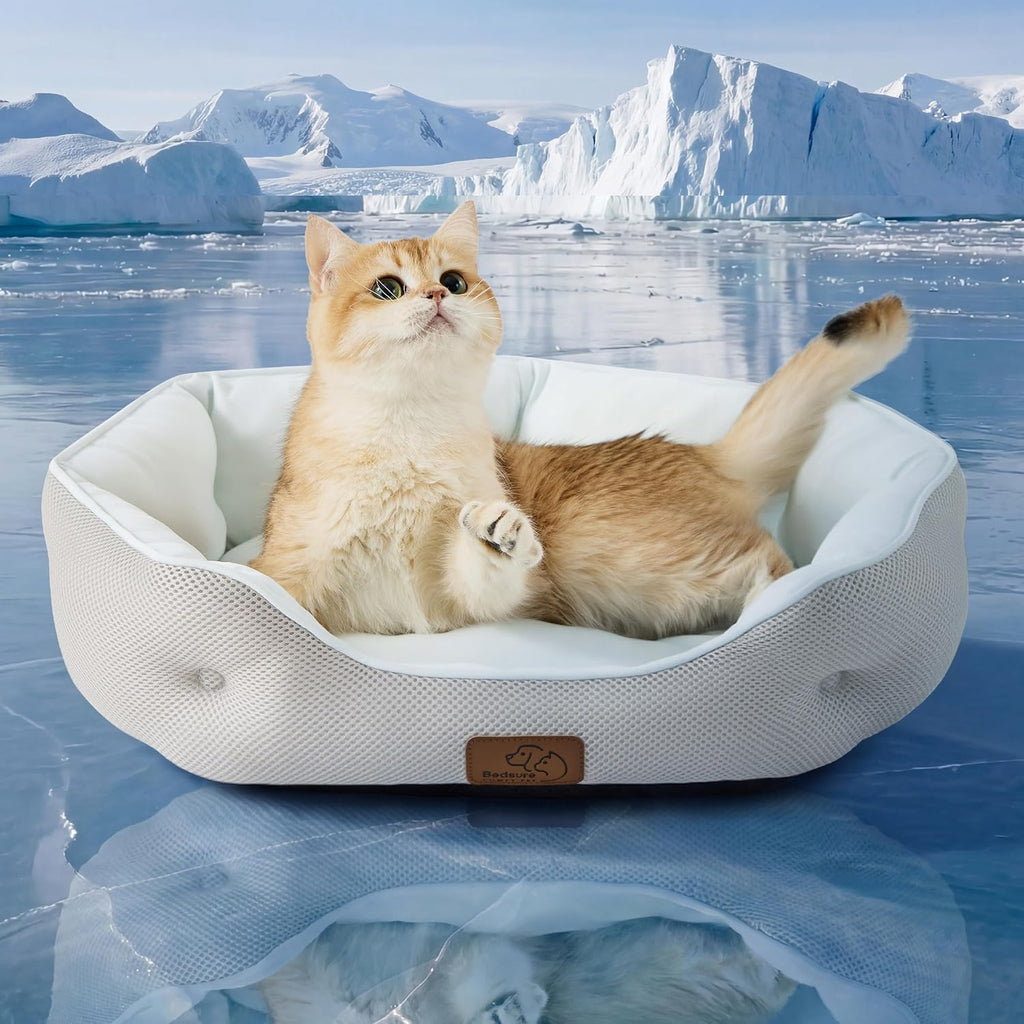 Bedsure cooling dog bed for small dogs front view