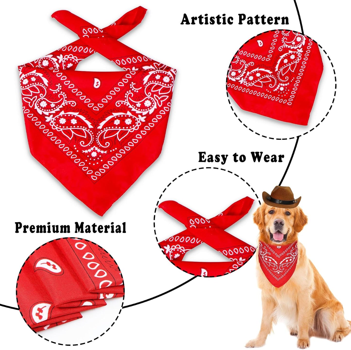 Imported GOYOSWA festive pet accessories set packaging view