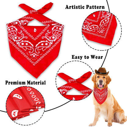 Imported GOYOSWA festive pet accessories set packaging view
