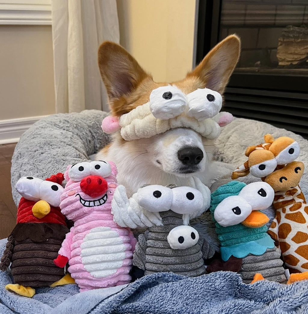 Nocciola plush dog toys set featuring chicken, pig, giraffe, buffalo, and mallard characters.