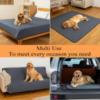 Whelping box setup featuring Bunlitent absorbent floor mat