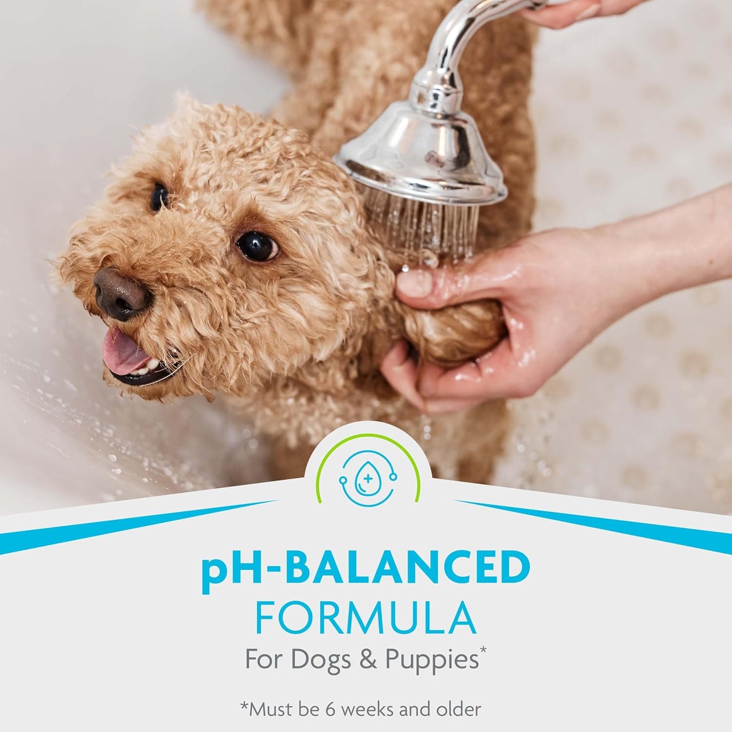 Sulfate and paraben free dog shampoo with keratin and collagen