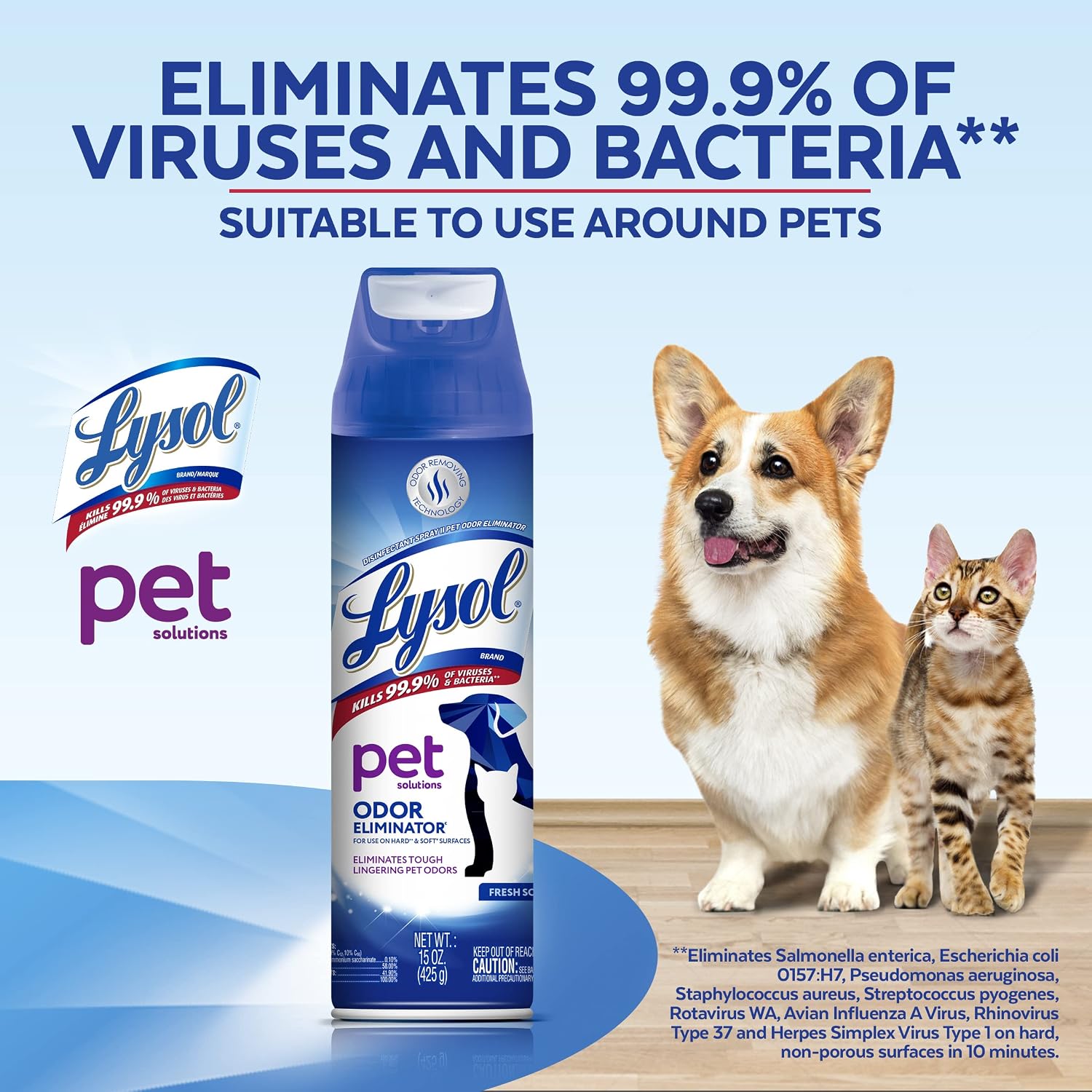 Lysol disinfectant spray being used on a pet bed